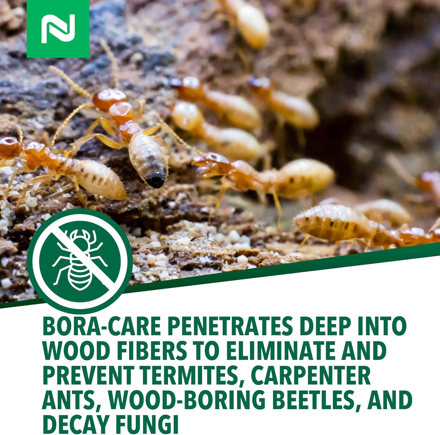 Nisus Bora-Care Termiticide & Fungicide - Wood Protection (1 Gallon)